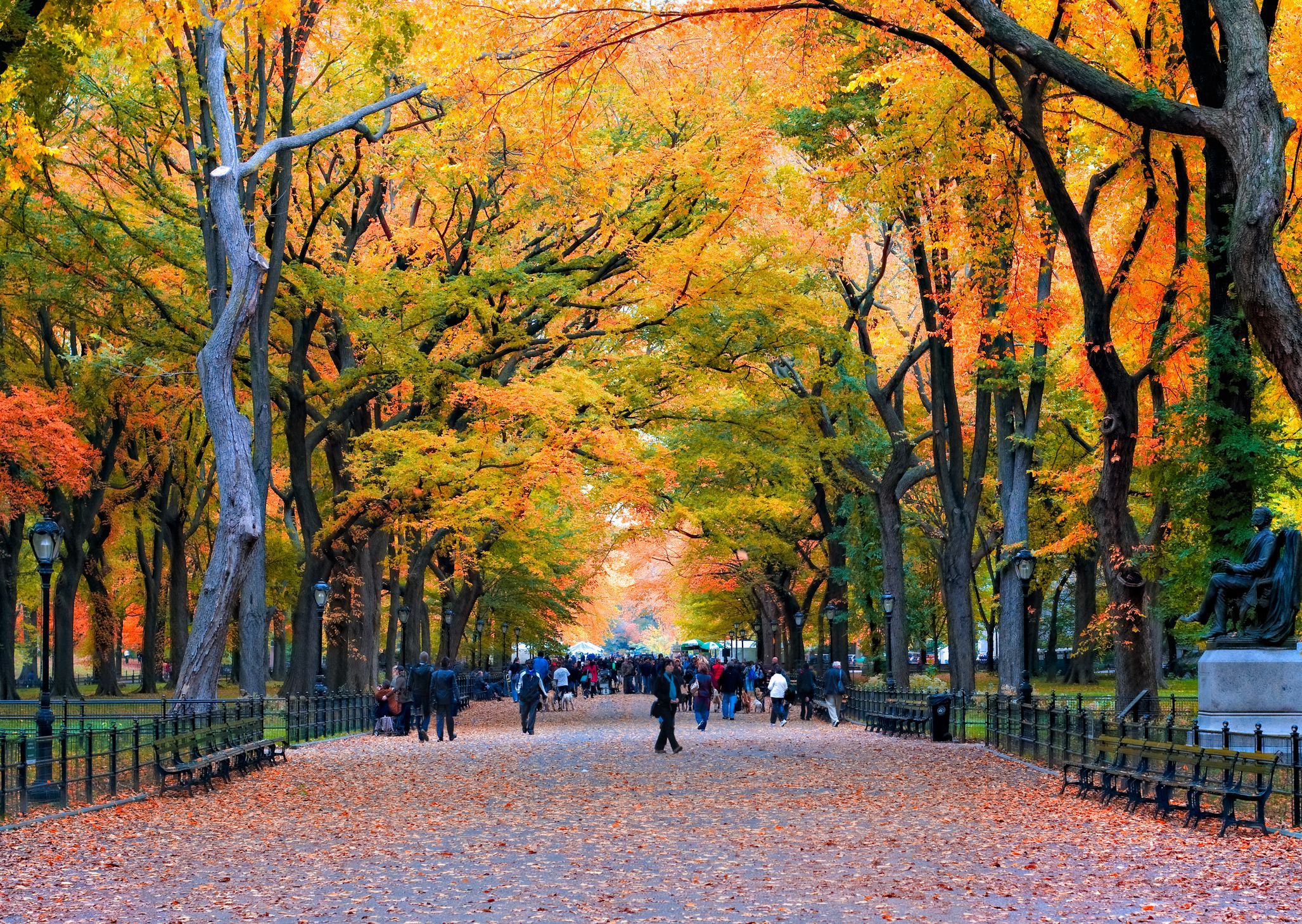 Best Time to Visit NYC in Fall