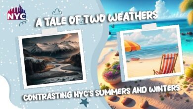 NYC's Summers and Winters