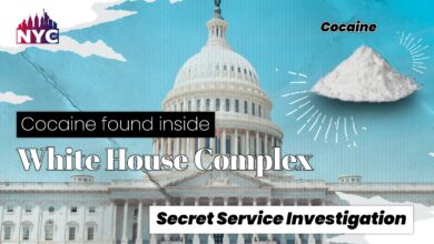 secret service investigation