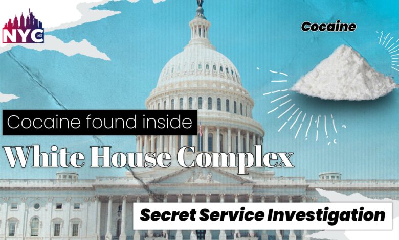 secret service investigation